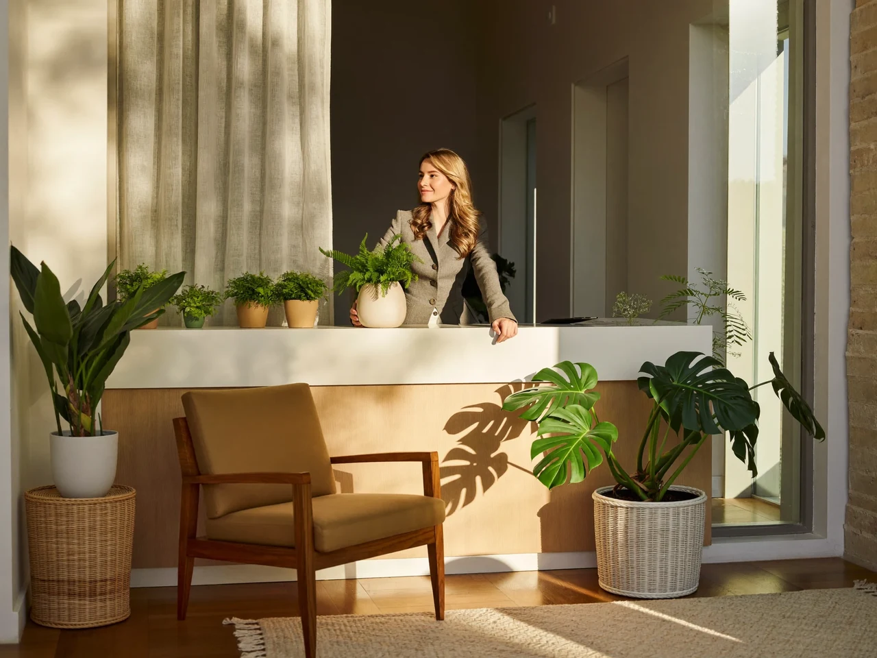Illustration of a welcoming community advice centre front room with plants and an inviting chair