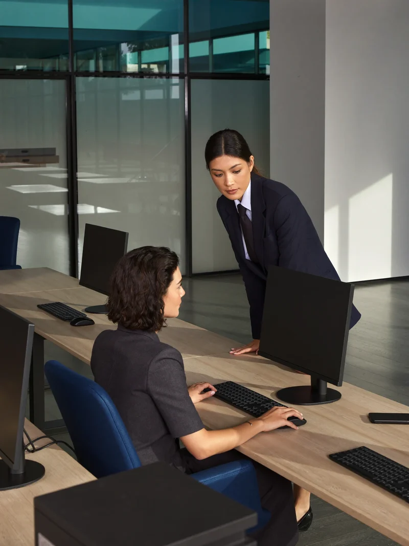 Illustration of a volunteer helping a visitor at public-access computers in a learning room